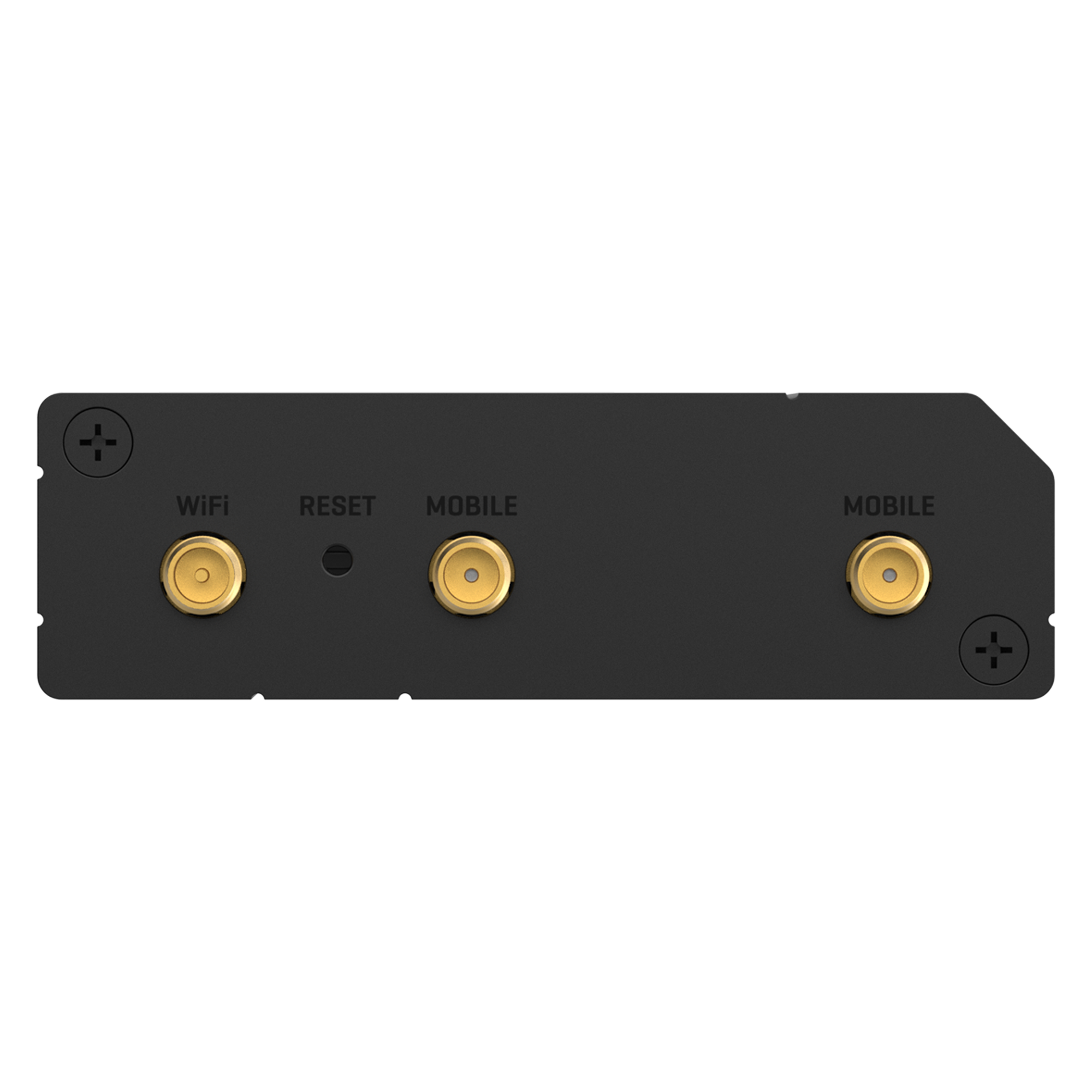 Teltonika RUT241 back view with ports